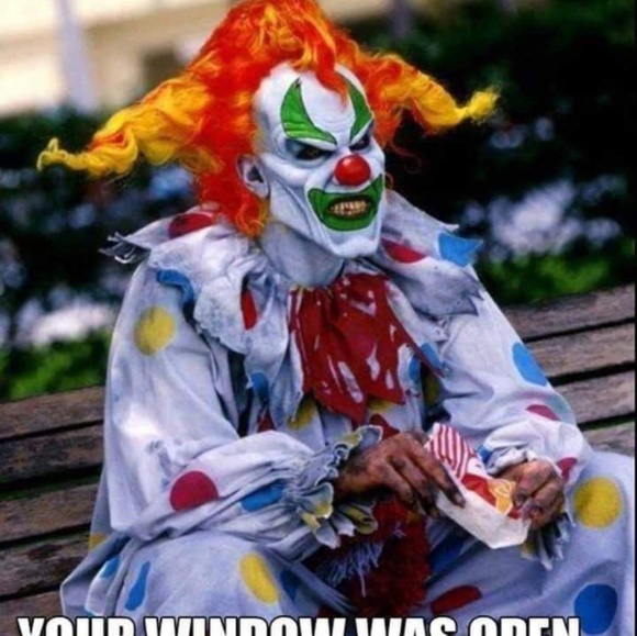 Meet your Posher, Daniel - Picture 1 of 1